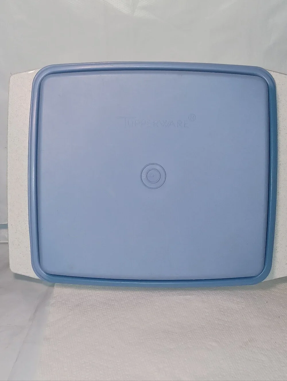 Vintage Tupperware Blue and Mint Green Deviled Egg Keeper Container